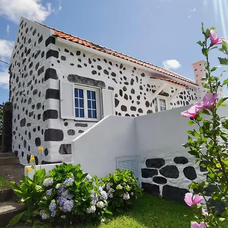 Vivenda Flores - Casa Hortensia Lomba  Exterior photo