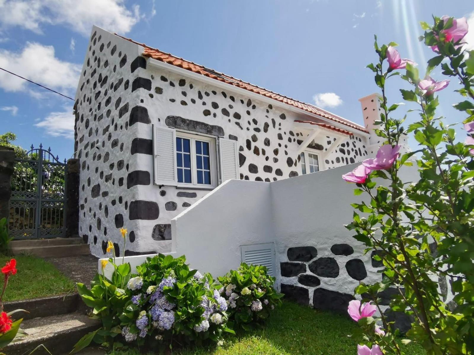 Vivenda Flores - Casa Hortensia Apartment